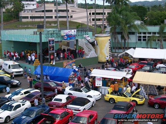 2001 Ford Mustang convertible and other Mustangs at a car show