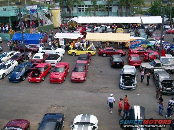 2001 Ford Mustangs and other cars parked at an outdoor event