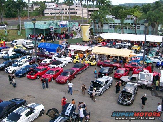 Many Ford Mustangs parked at an outdoor car show, some with hoods open