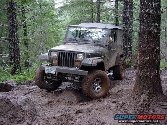 Muddy Jeep Wrangler driving on a dirt trail in the woods. License plate is visible