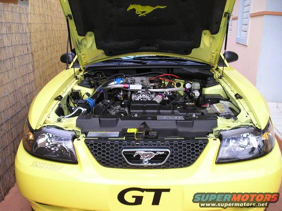 Yellow Ford Mustang GT with hood open showing engine. Horse emblem on grille and hood liner