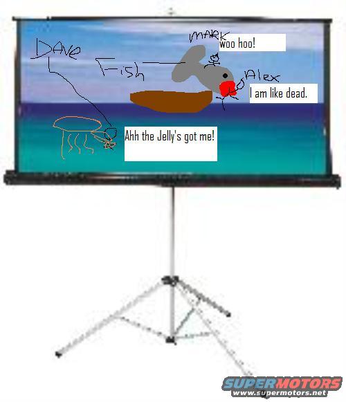 jelly.jpg 