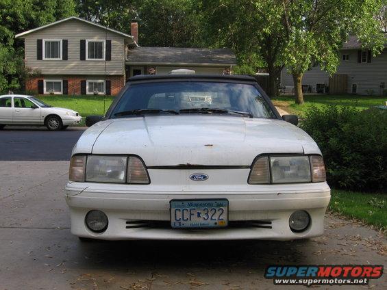 the project stang
