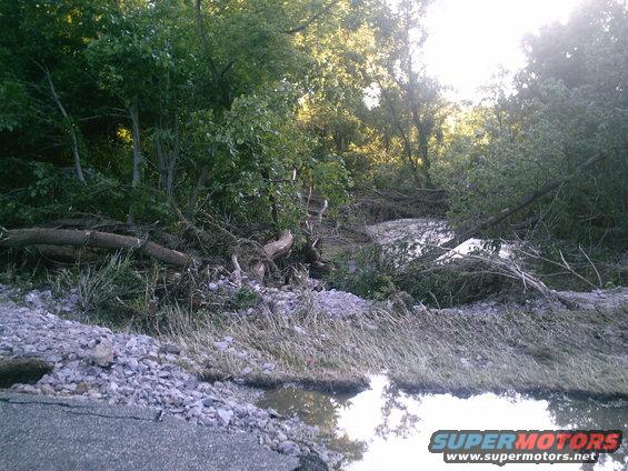 Flooded road with debris and trees