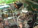 DSC01777.JPG