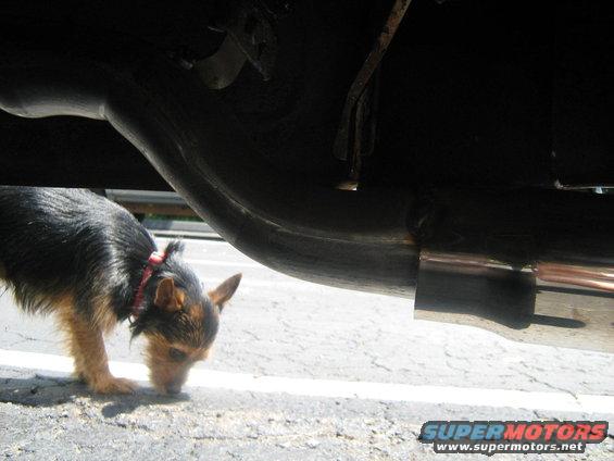 img_0006.jpg 6-16-08