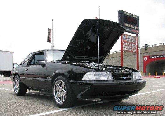 img_3174.jpg MM.net member Jinxed's 93 'Stang.