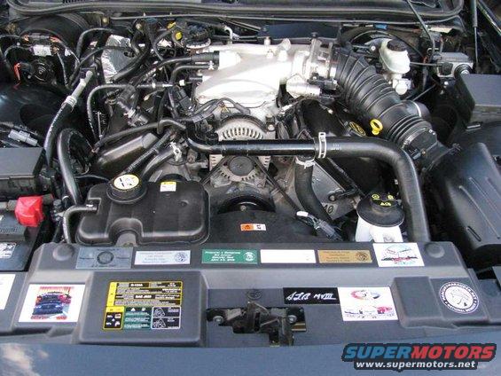 Mongoose's engine bay.
