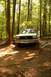 1987 Ford Bronco - This 1987 Ford Bronco navigates a challenging muddy path within a dense woodland area.