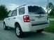 2008 Ford Escape - The rear of a white Ford Escape is shown parked on a concrete surface with a grassy area and trees in the background.