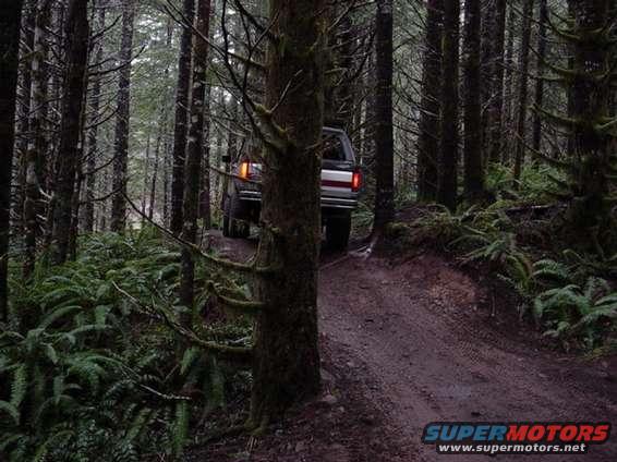 shultseys_run_32203_frank_009.jpg Tim through the powerline trail