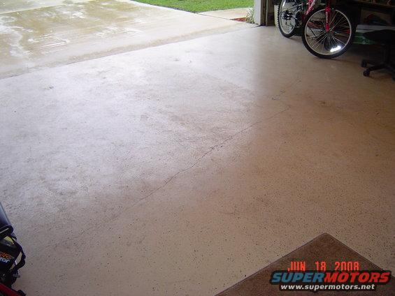 floor-pics-dulled-out-004.jpg 