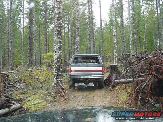 Plenty of stumps on "Hood Raiser"