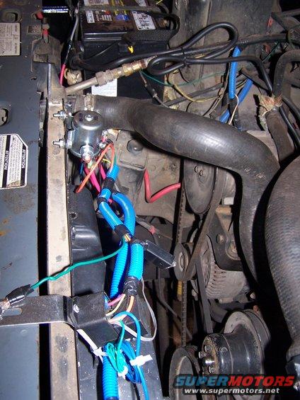 4-wiring-loom-ii.jpg wiring loom...full install!