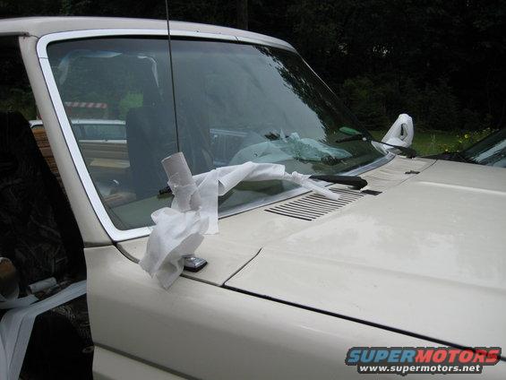 tpwindshield.jpg 