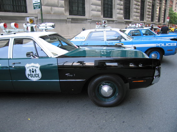 picture-166.jpg 