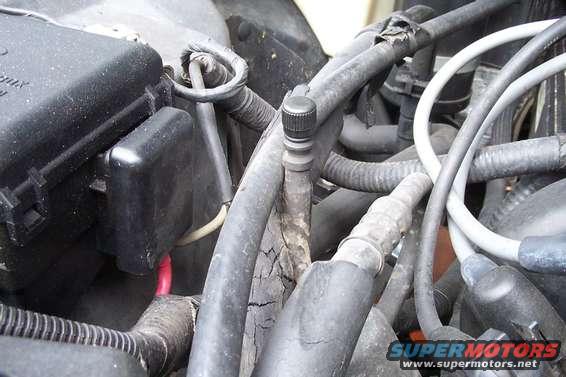 Close-up of engine bay showing various hoses, wires, and a black fuse box