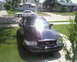 Vicpic3.jpg