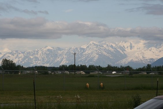 Snow-capped mountains under a cloudy sky, with a fence and grassy field in the foreground