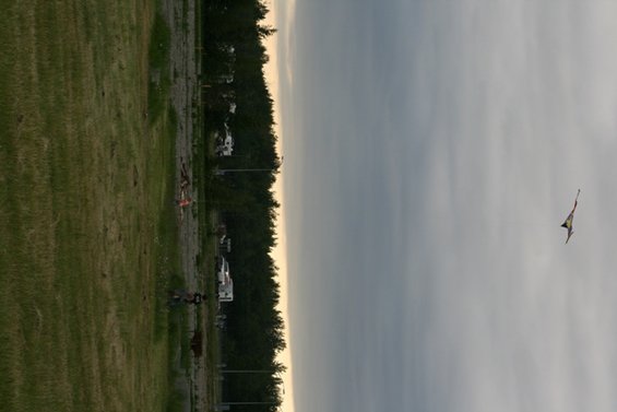 Kite flying in a cloudy sky over a grassy field and trees