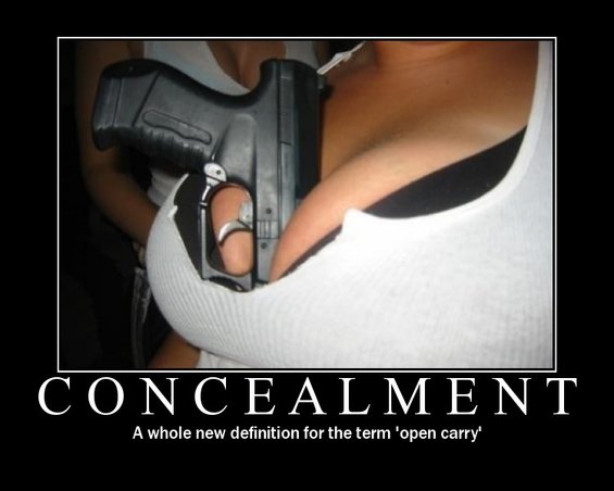 concealedweapon.jpg Concealment