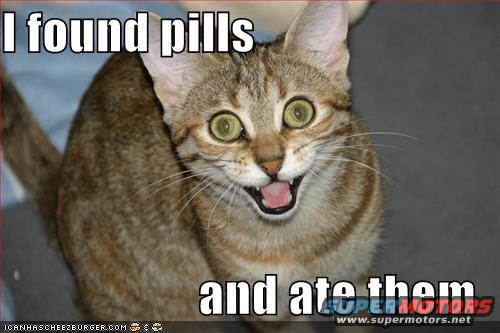Tabby cat with wide eyes and open mouth, text reads 'I found pills and ate them'