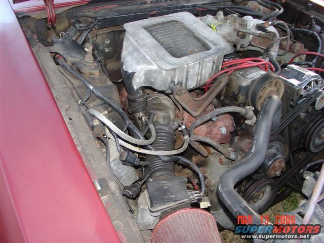 1984 Ford Mustang engine bay with red fender
