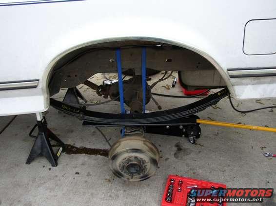 p1010014.jpg New leafs!