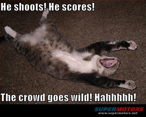 catpic9.jpg 