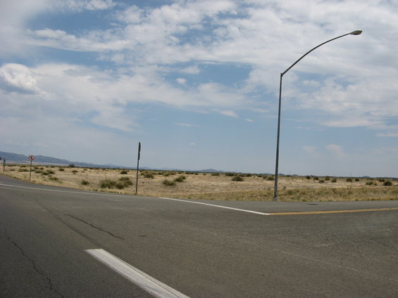 Roadside scene with a street lamp and dry brush under a cloudy sky