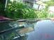 1997 Dodge Neon photo