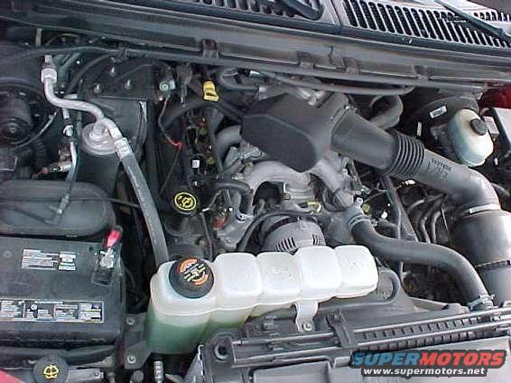 heartofbeast.jpg just in case u can't tell that's my dad's f-250 w/ a V-10!!!! one fast truck...