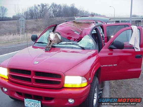 deerhunting1.jpg 