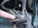 1991 Ford Bronco - my finger is pointing to the wire that was not connected to the solenoid because there wasn't abig enough hole for the…