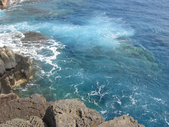 hawaii-08-101.jpg 