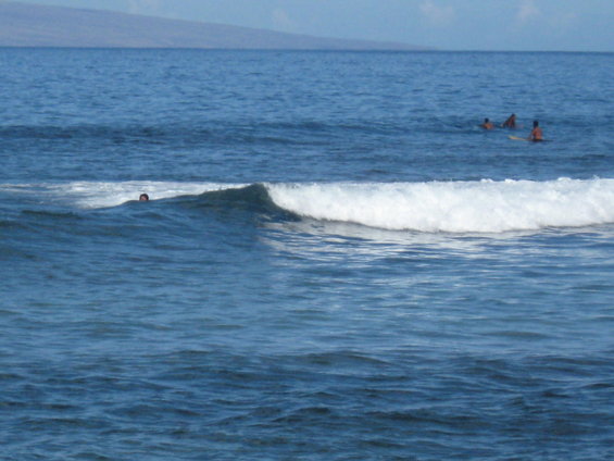 hawaii-08-057.jpg 