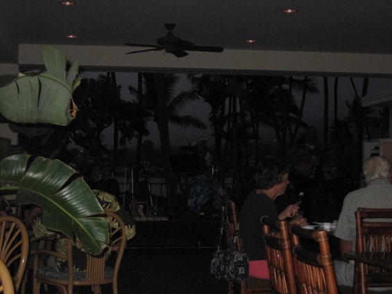 Interior dining scene with palm trees visible through a large window