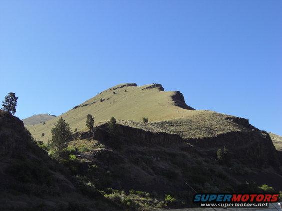 Rolling grassy hills under a bright blue sky with some scattered trees