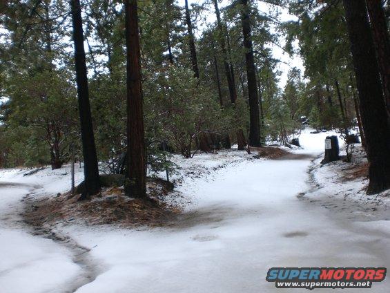 Snowy forest road with trees and a signpost
