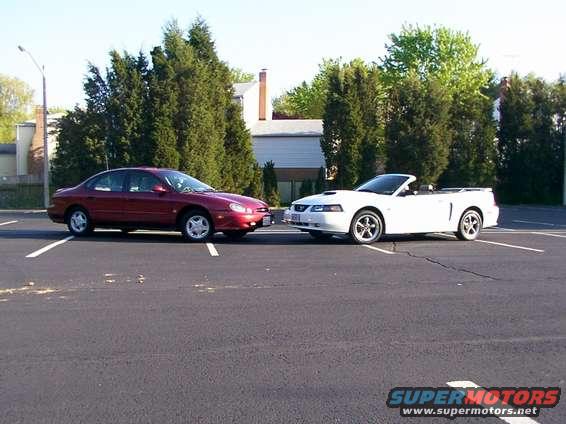 picture_390.jpg Taurus vs. Stang