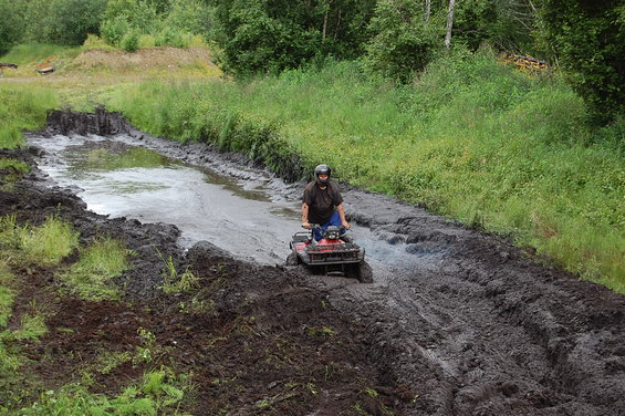 mom-bog-pics-011.jpg 