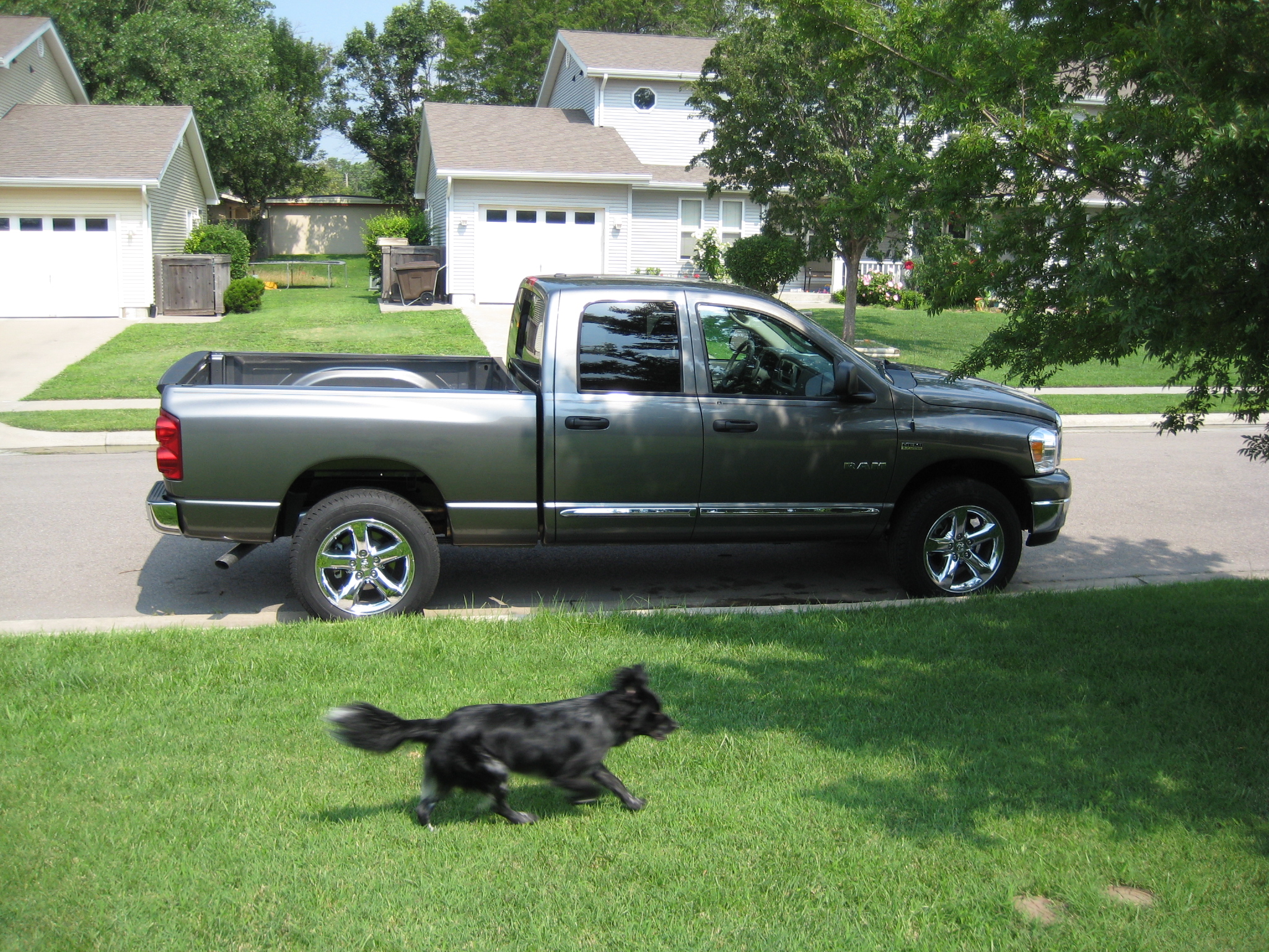 Dodge 1500