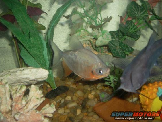 picture-014.jpg