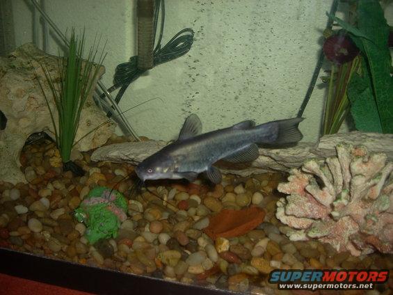 picture-012.jpg
