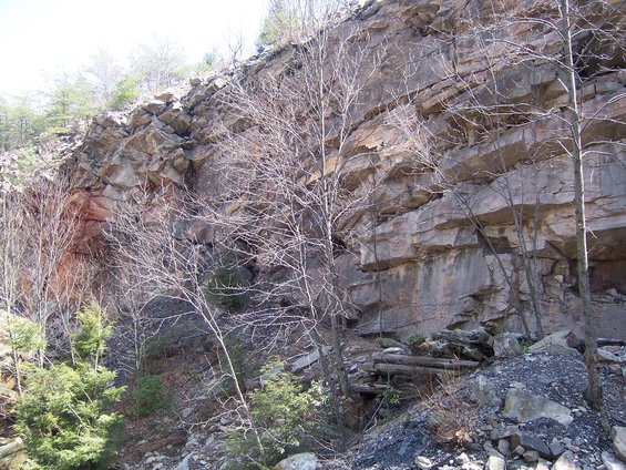 Rock quarry with layered stone walls and sparse trees