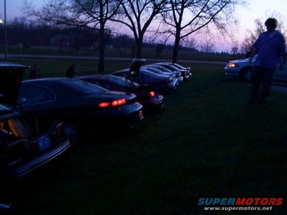 Dark 1998 Ford Taurus cars parked in a row on grass at dusk, rear view