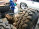 1992 Ford Mustang - A white 1992 Ford Mustang is parked next to large off-road tires and automotive parts in a garage.