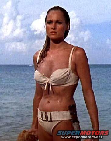 Woman in bikini on a beach with the ocean and sky in the background