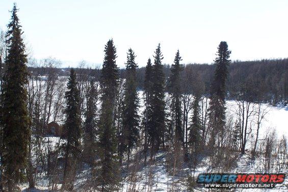 Wooded winter landscape with a small building and a watermark