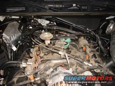 1998 Ford Crown Victoria engine bay with various hoses and components visible